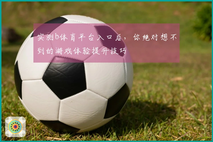 实测b体育平台入口后，你绝对想不到的游戏体验提升技巧