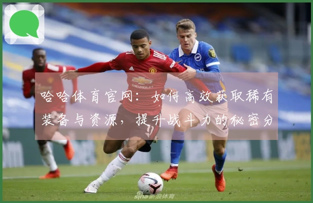 哈哈体育官网：如何高效获取稀有装备与资源，提升战斗力的秘密分享